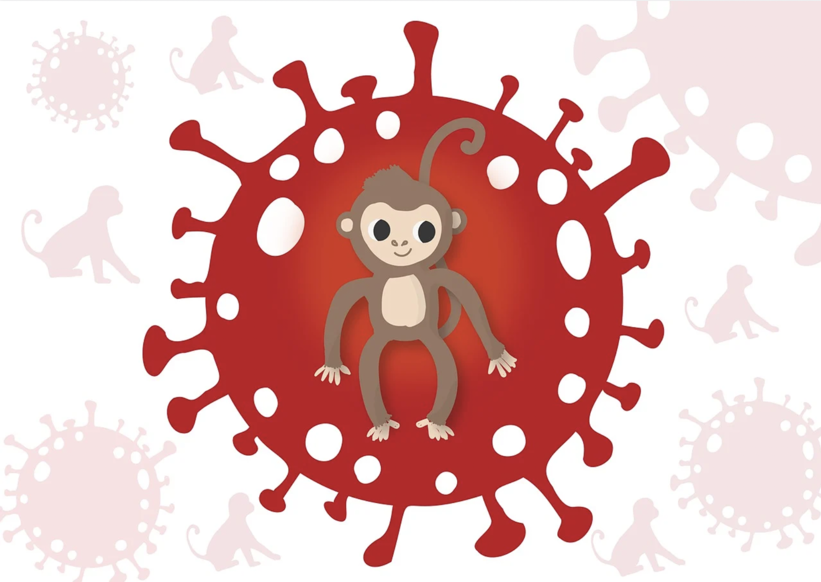 What is Monkeypox?